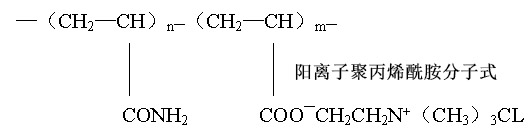 阳离子91视频污污污分子式